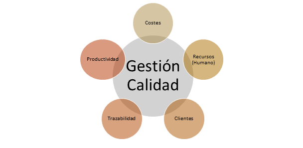 Diagrama que muestra "gestión de calidad" en el centro con conexiones a seis nodos circundantes etiquetados como costes, productividad, recursos (humano), clientes, trazabilidad.